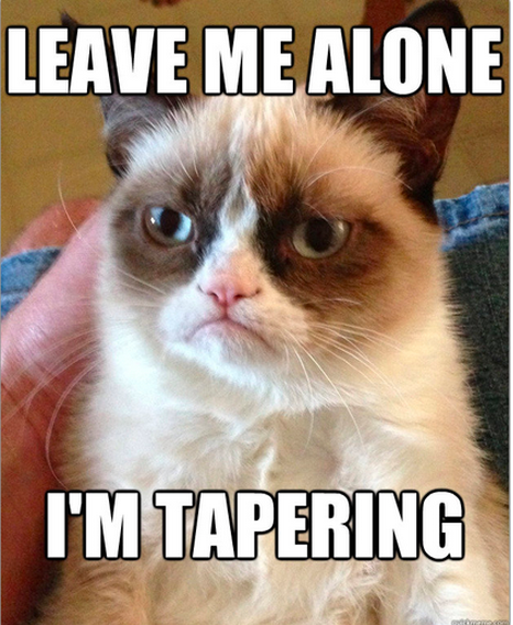 Grumpy Cat Tapering