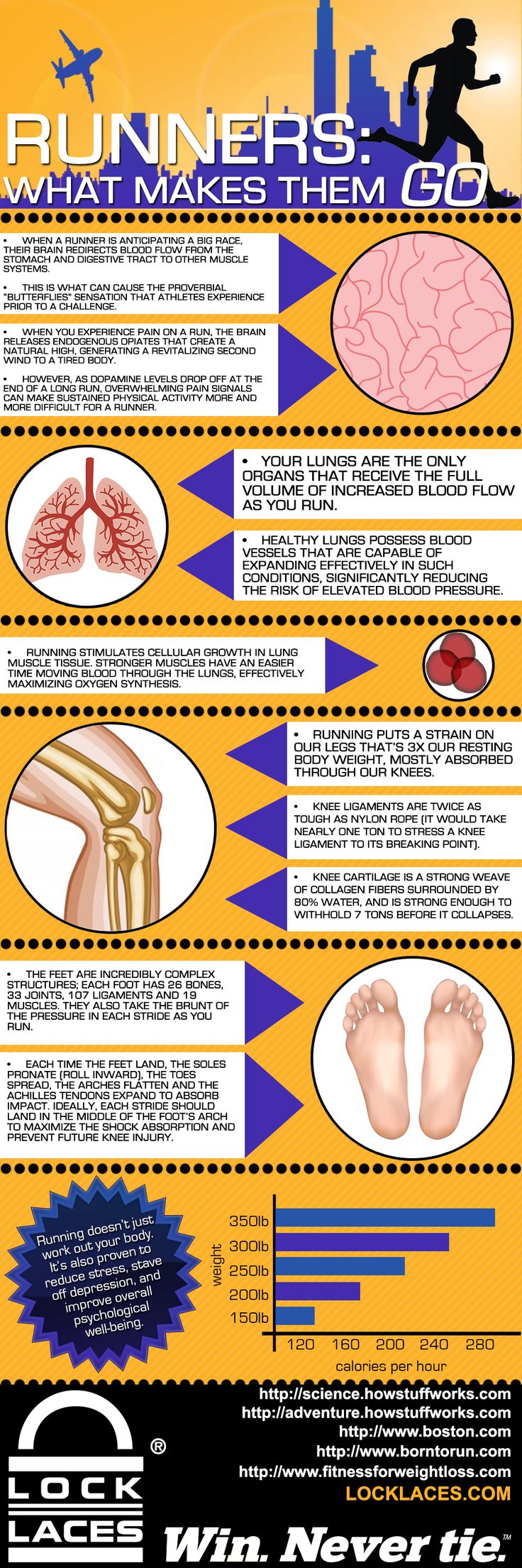 Runners: What makes them go? infographic